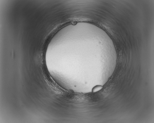 X0000074940351200609221711