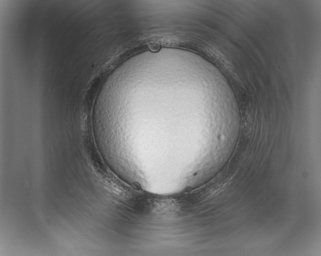 X0000074940355200609221711