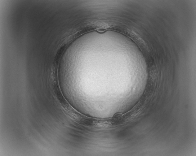 X0000074940359200609221711