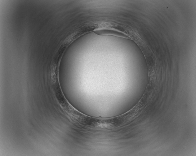 X0000074940360200609221711