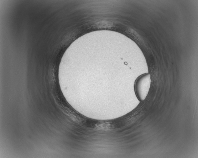 X0000074940362200609221711