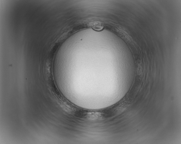 X0000074940363200609221711