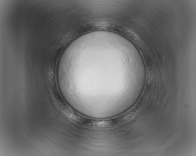 X0000074940365200609221711