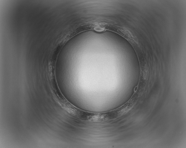 X0000074940366200609221711