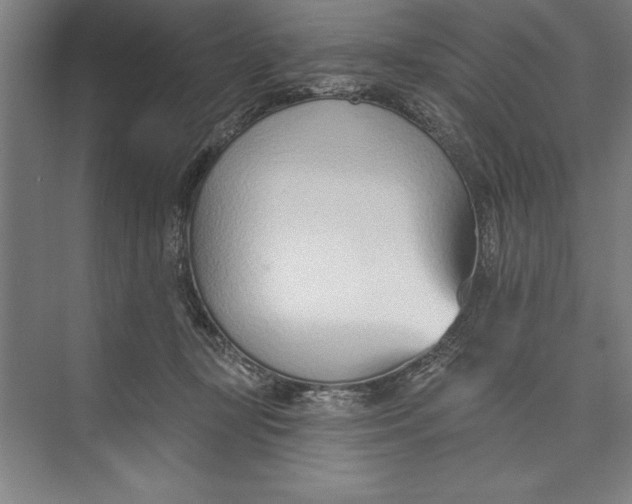 X0000074940367200609221711