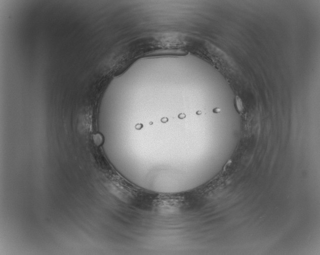 X0000074940368200609221711