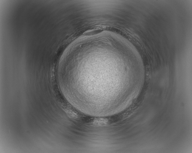 X0000074940369200609221711