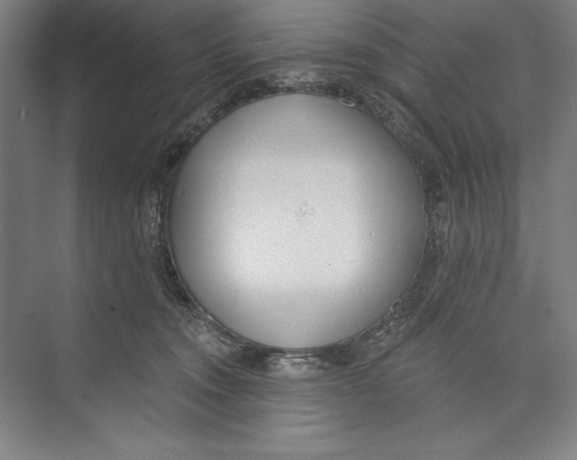 X0000074940372200609221711