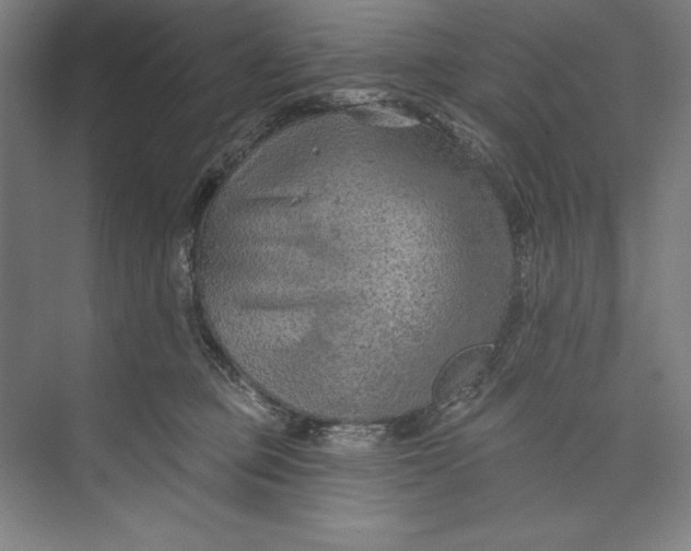 X0000074940373200609221711