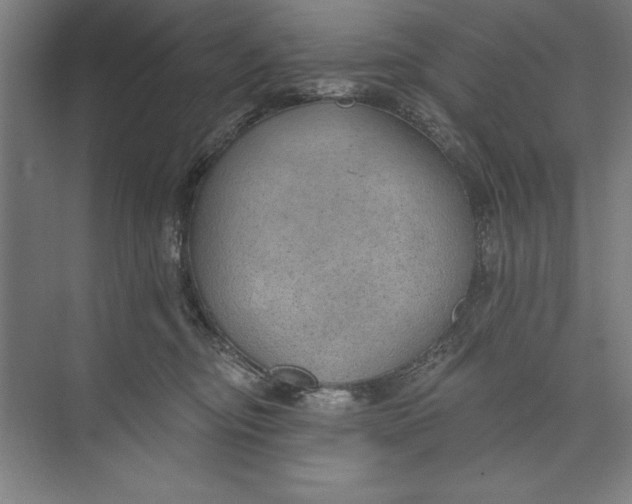 X0000074940374200609221711