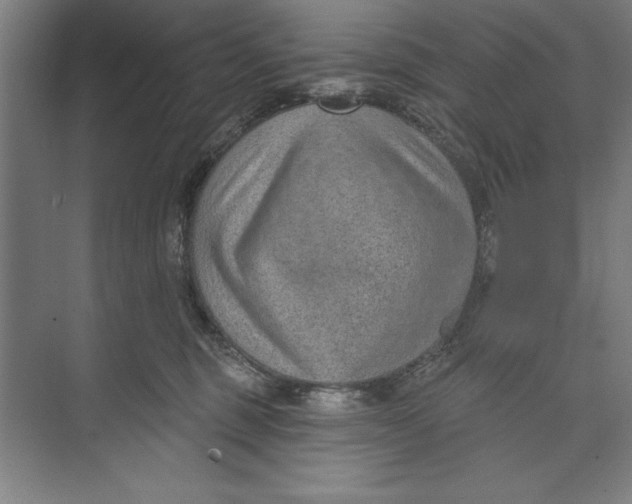 X0000074940375200609221711