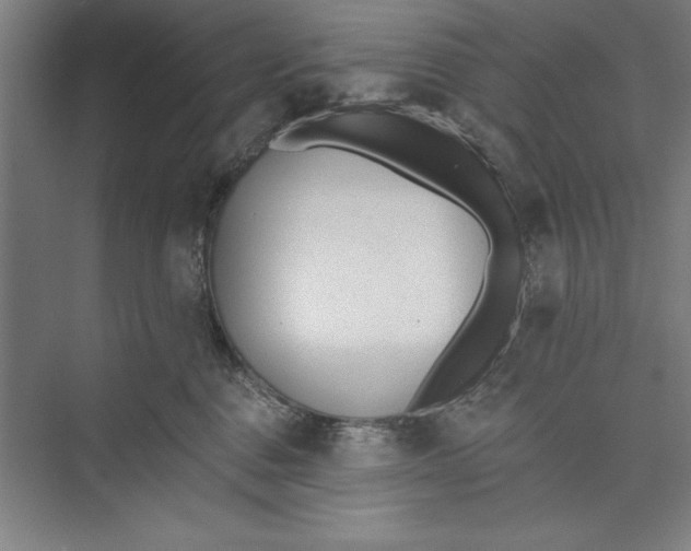 X0000074940376200609221711