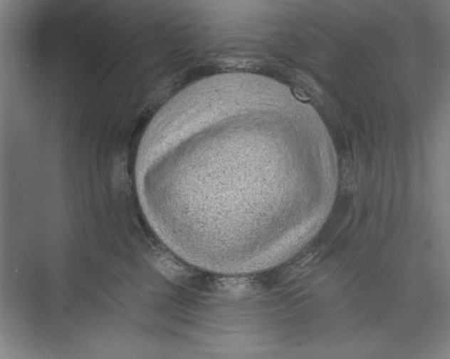 X0000074940377200609221711