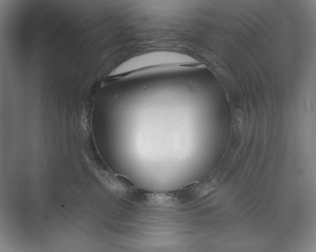 X0000074940380200609221711