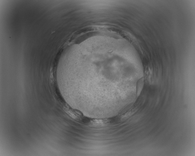 X0000074940381200609221711