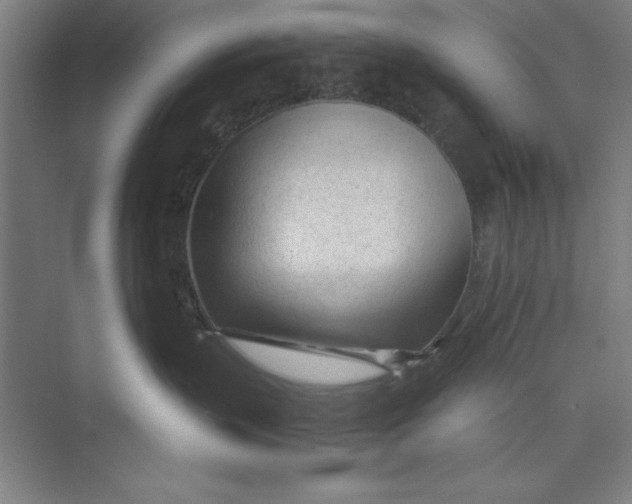 X0000074940383200609221711