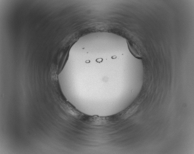 X0000074940384200609221711