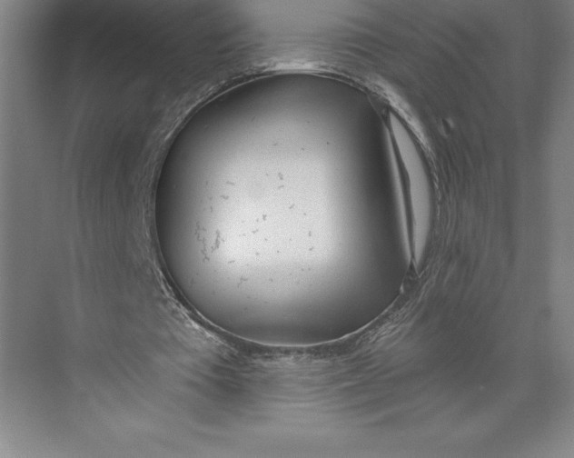 X0000074940385200609221710