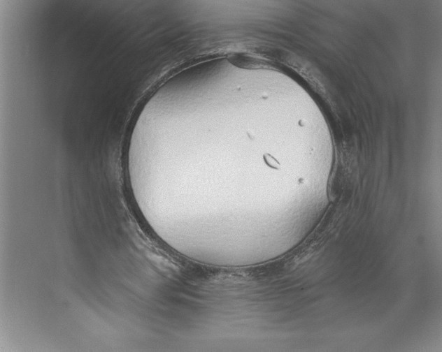 X0000074940386200609221710