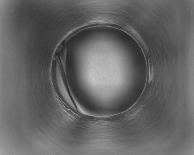 X0000074940387200609221710