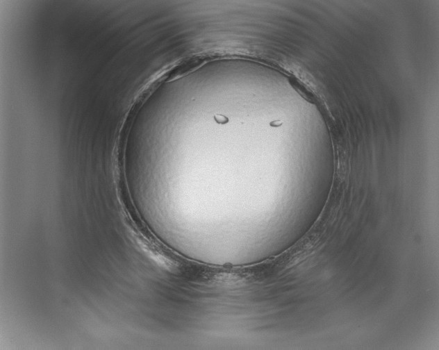 X0000074940390200609221710