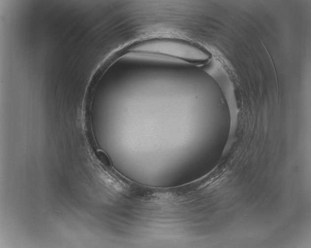 X0000074940391200609221710