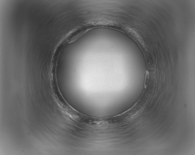 X0000074940395200609221710