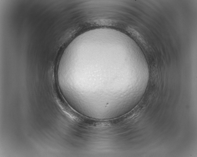 X0000074940398200609221710