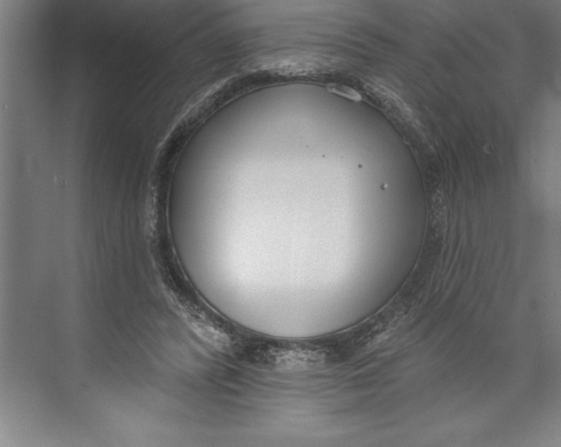 X0000074940400200609221710