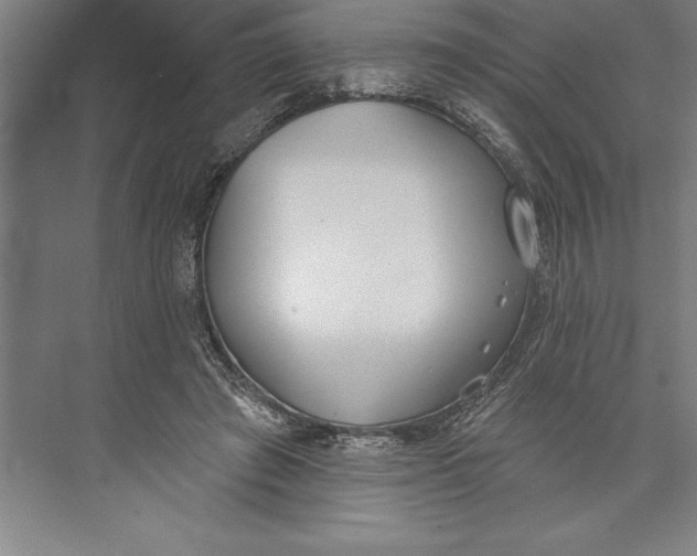 X0000074940401200609221710