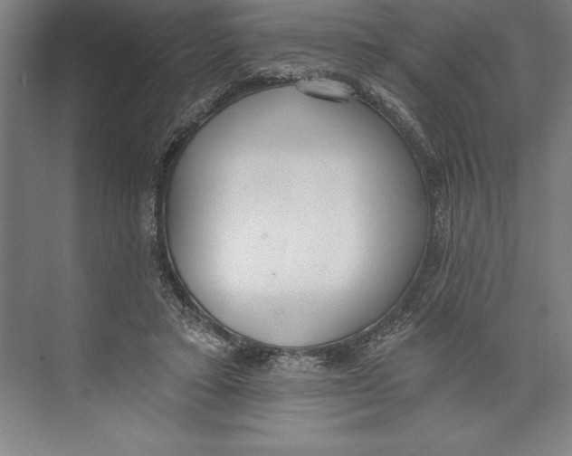 X0000074940403200609221710