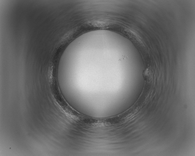 X0000074940404200609221710