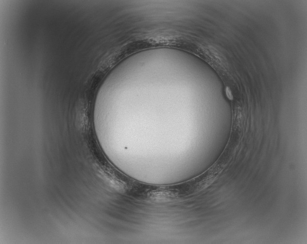 X0000074940408200609221710