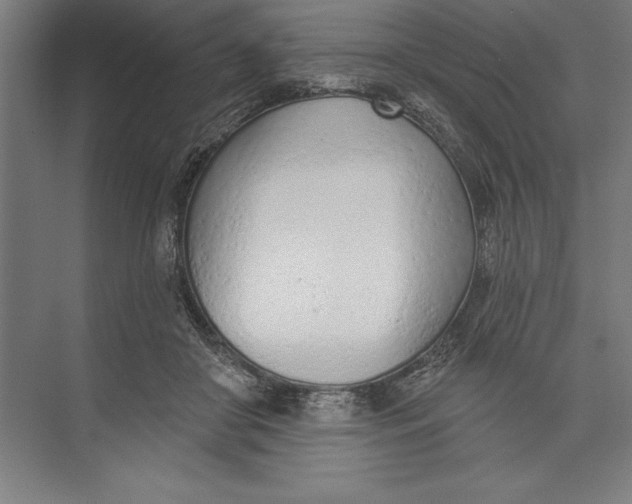 X0000074940410200609221710