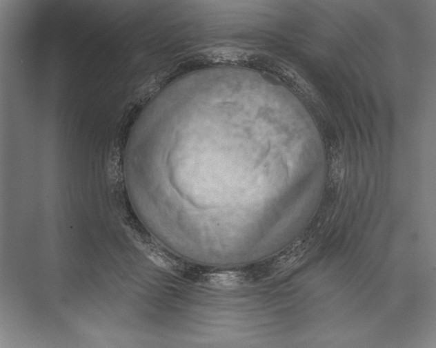 X0000074940411200609221710