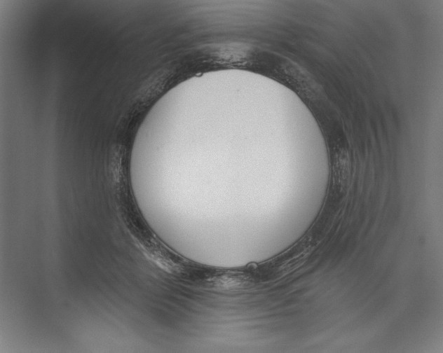 X0000074940412200609221710