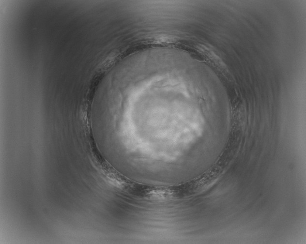 X0000074940415200609221710