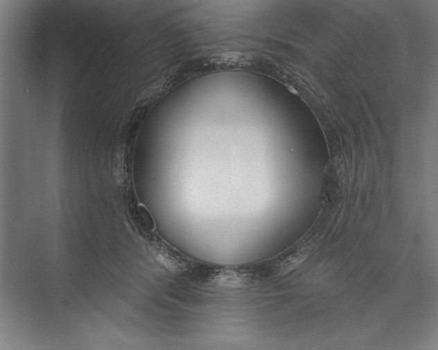 X0000074940416200609221710