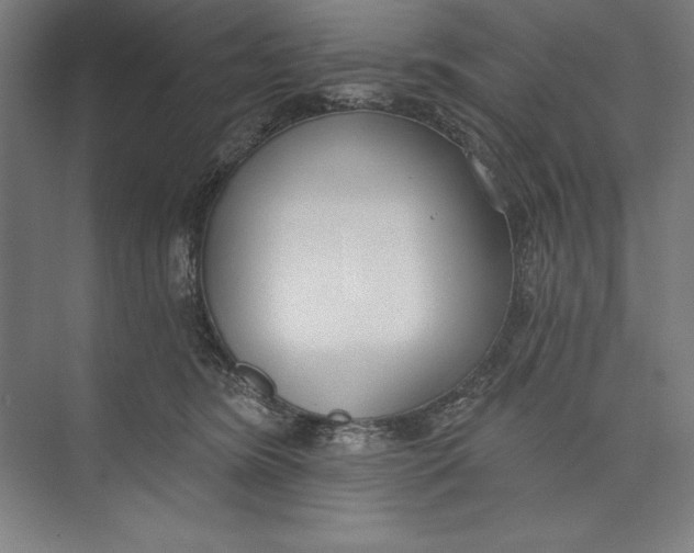 X0000074940420200609221710