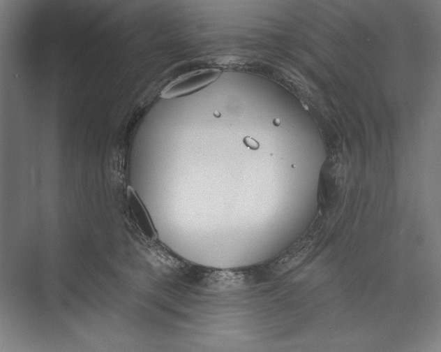 X0000074940421200609221710