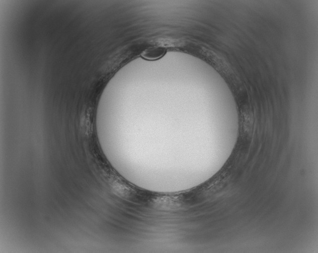 X0000074940422200609221710