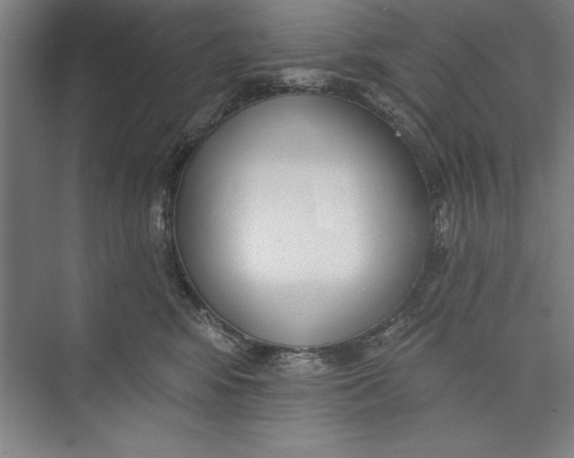 X0000074940424200609221710