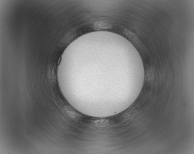 X0000074940426200609221710