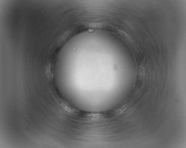 X0000074940428200609221710