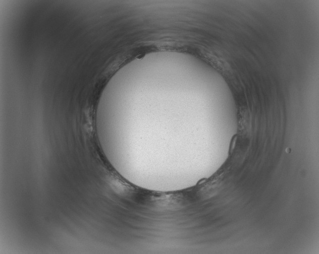 X0000074940430200609221710