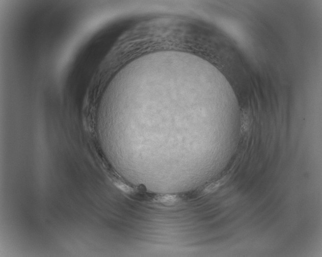 X0000074940431200609221710