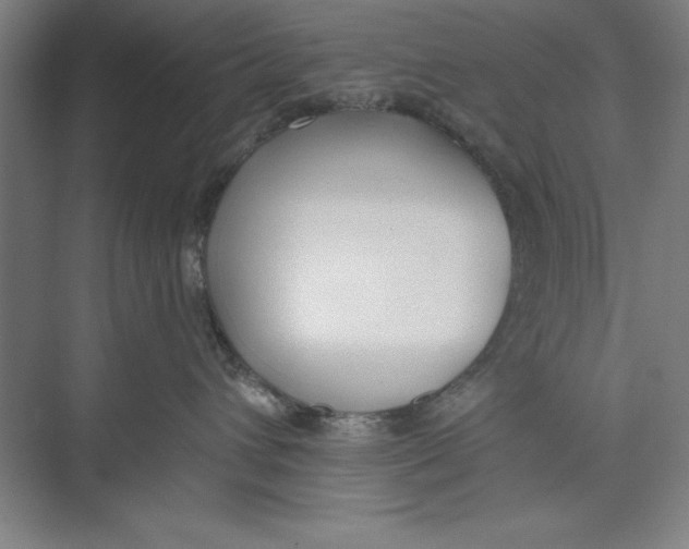 X0000074940432200609221710