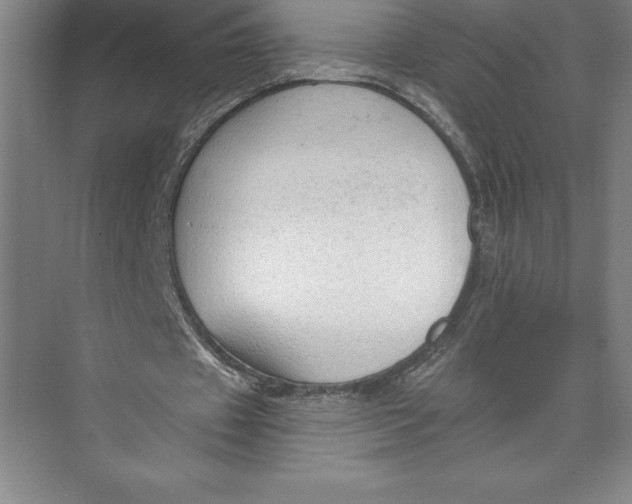 X0000074940433200609221709