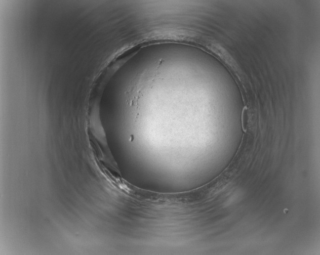 X0000074940434200609221709