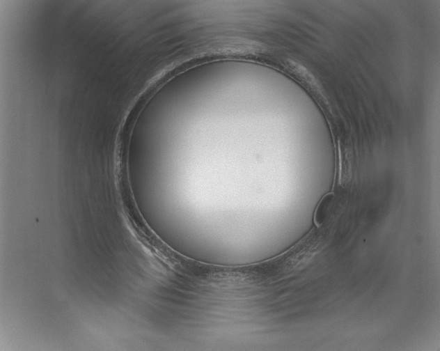 X0000074940435200609221709